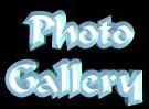 photo.JPG (4033 bytes)